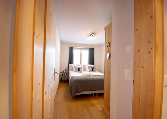 Premium Grischuna Mit Silvrettablick *