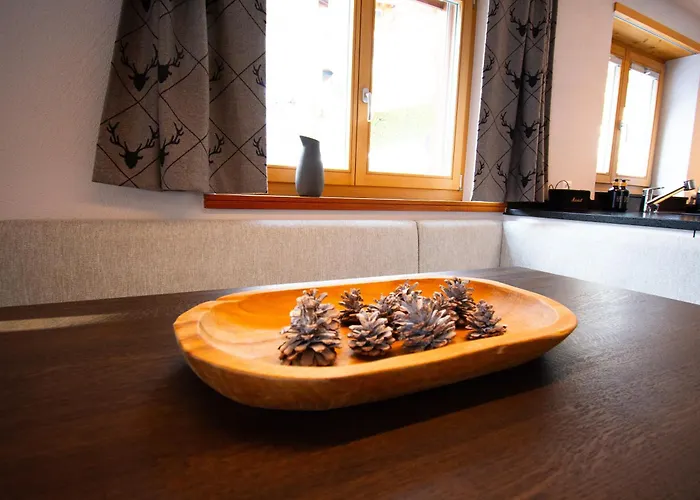 Premium Grischuna Mit Silvrettablick