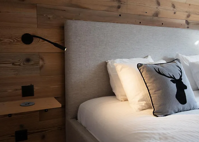 Premium Grischuna Mit Silvrettablick Apartment